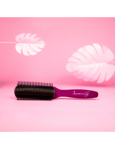 BROSSE A CHEVEUX SECRETS DE LOSLY