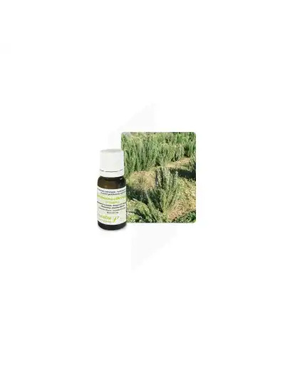 Huile Essentielle Romarin Cineol Pranarom 10ml