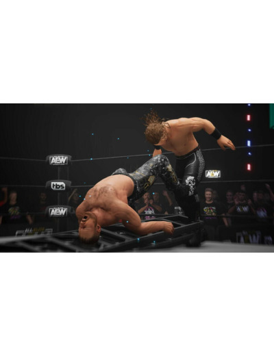 Aew: Fight Forever - Occasion