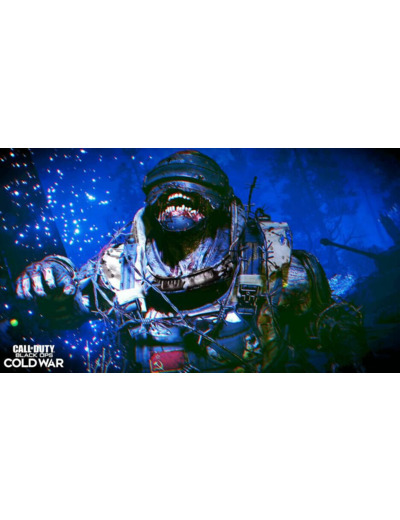 Call Of Duty Black Ops Cold War - Occasion