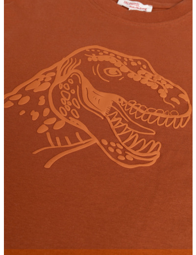 T-shirt orange animation dino pour garçon