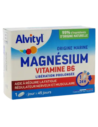 Alvityl Magnésium Vitamine B6 Libération Prolongée Comprimés Lp B/45