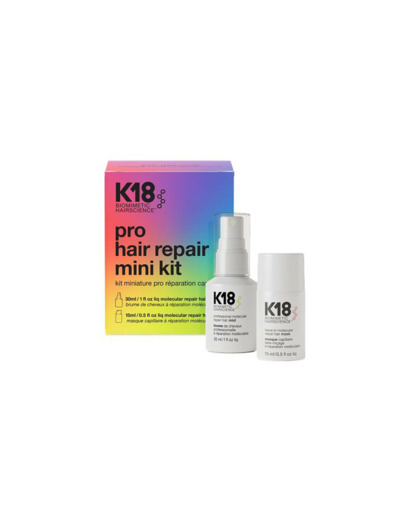 Mini kit Pro Hair Repair