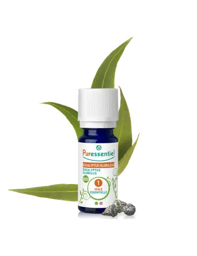 Puressentiel Huiles Essentielles - Hebbd Eucalyptus Globuleux Bio* - 10 Ml