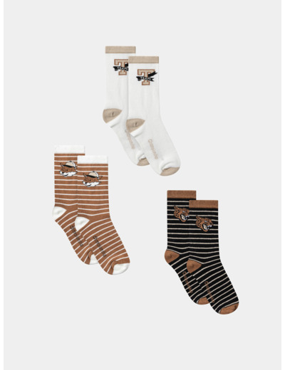 Lot de 3 chaussettes