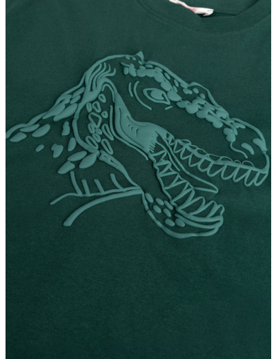 T-shirt vert pin animation dino pour garçon