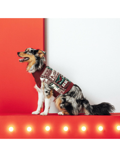 Pull pour chien Noël - Rouge