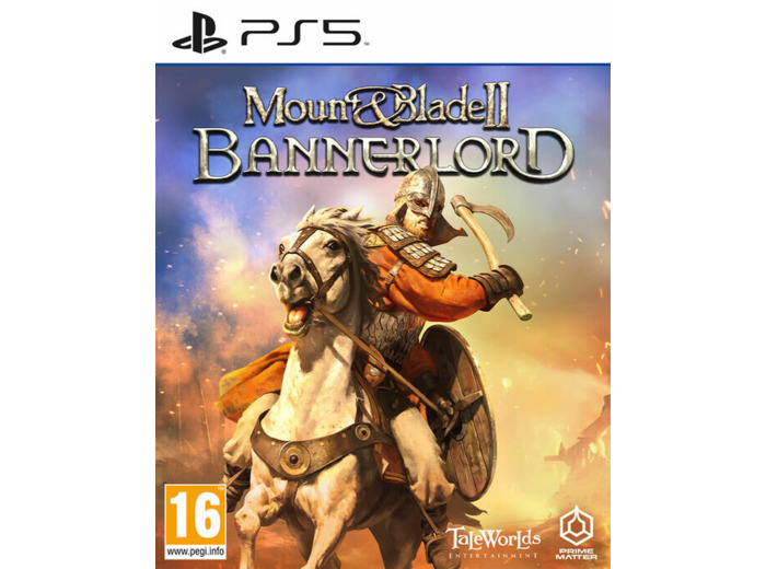 Mount & Blade II Bannerlord - Occasion