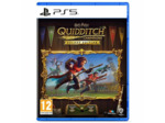 Harry Potter Champions De Quidditch Edition Deluxe