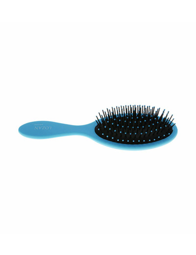 BROSSE LOZAN