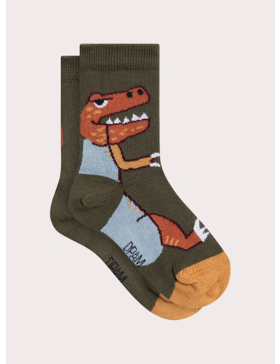 Chaussettes motif dinosaures pour garçon