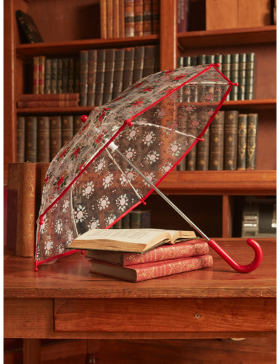 Parapluie Transparent