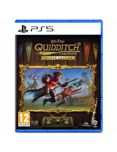 Harry Potter Champions De Quidditch Edition Deluxe