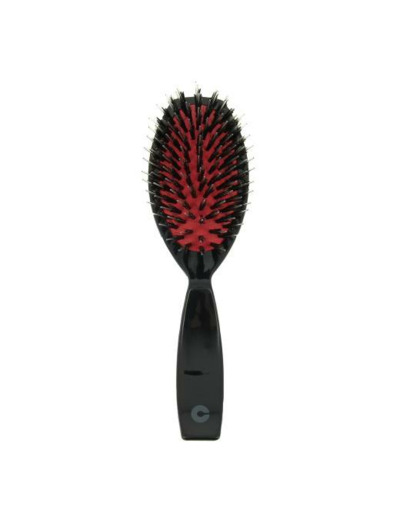 Brosse pneumatique en sanglier...