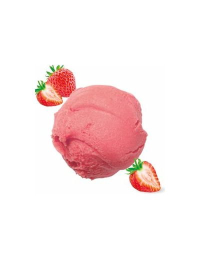 Sorbet Fraise Bio