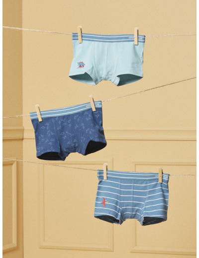 Lot de 3 boxers Dino