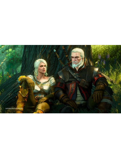 The Witcher 3 Wild Hunt Complete Edition - Occasion