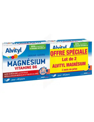 Alvityl Magnésium Vitamine B6 Libération Prolongée Comprimés Lp 2b/45