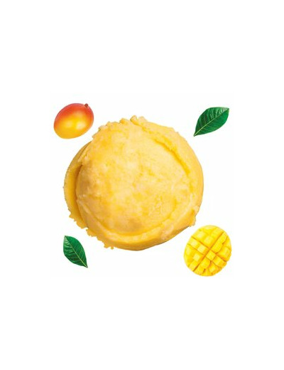 Sorbet Mangue Bio