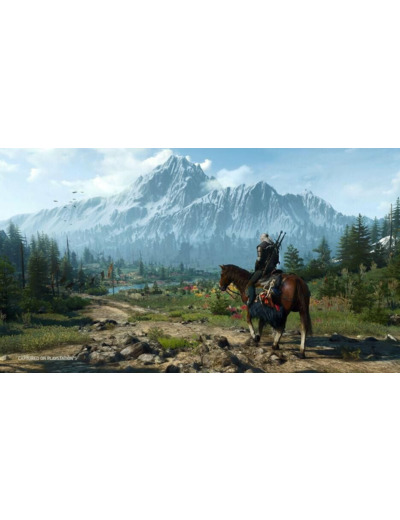 The Witcher 3 Wild Hunt Complete Edition - Occasion