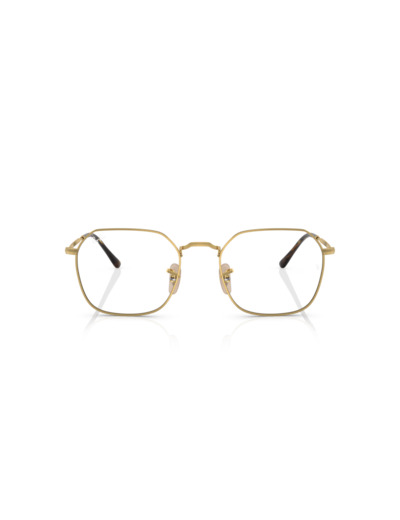 Lunettes de vue RAY-BAN RX3694V 2500